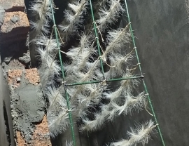 百祿橋衛生院-湖南一體化汙水處理設備安裝完成